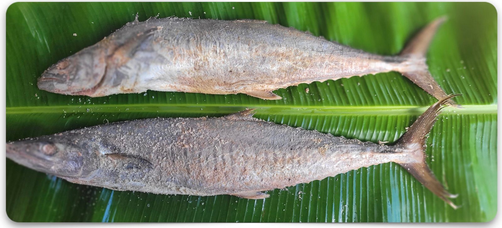Vanjaram Dry Fish – Medium | வஞ்சரம் கருவாடு - Image 5