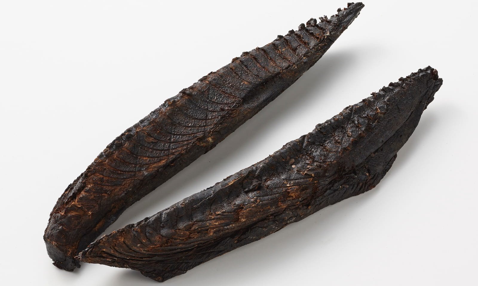 Tuna | மாசி கருவாடு - Image 3
